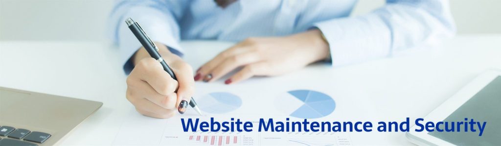 Content image for Improving Website Security Through Consistent Maintenance.